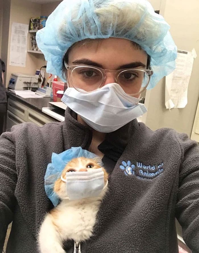 Surgeon cat