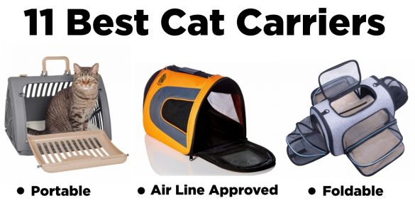 Best Cat Carriers