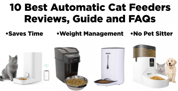 best automatic cat feeders