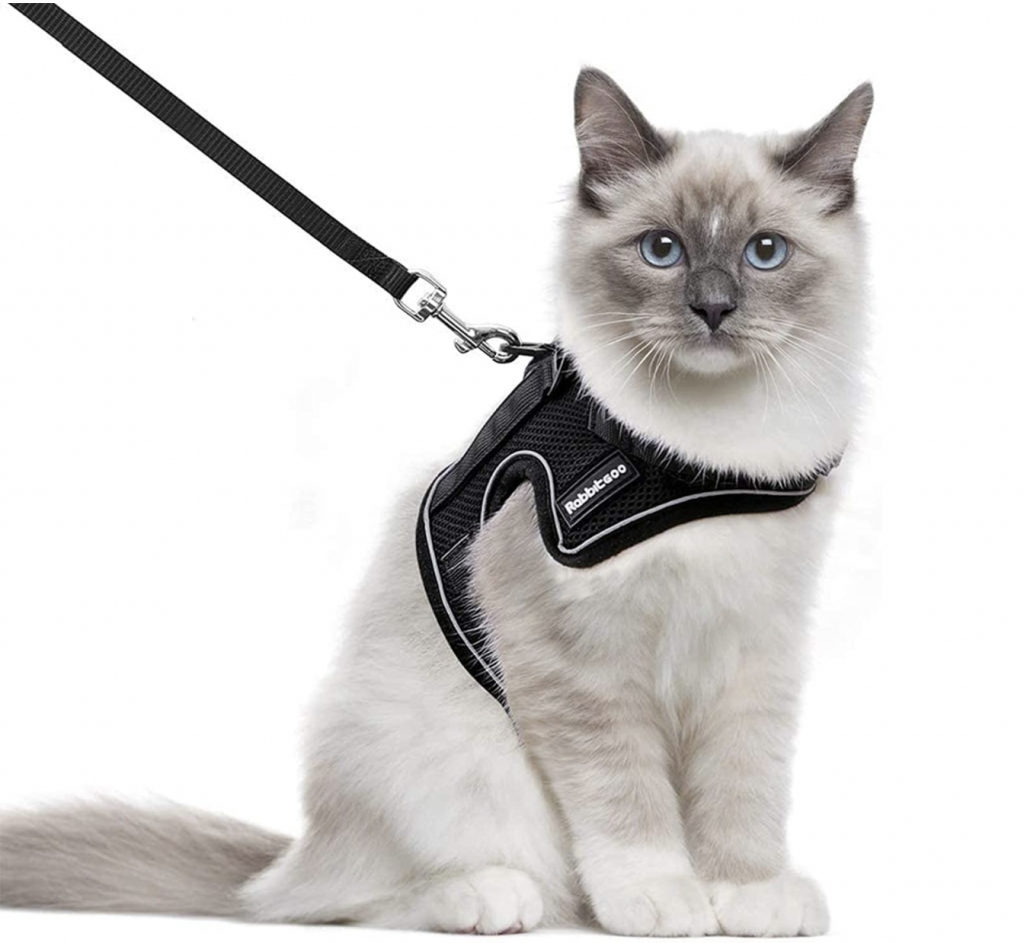 7 Best Cat Harnesses For Walking, Hiking And Traveling