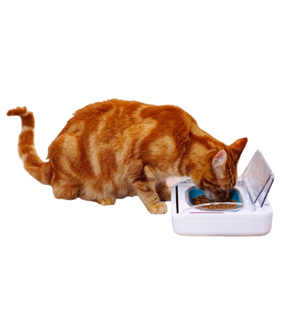 SureFeed Motion Activated Microchip Cat Bowl