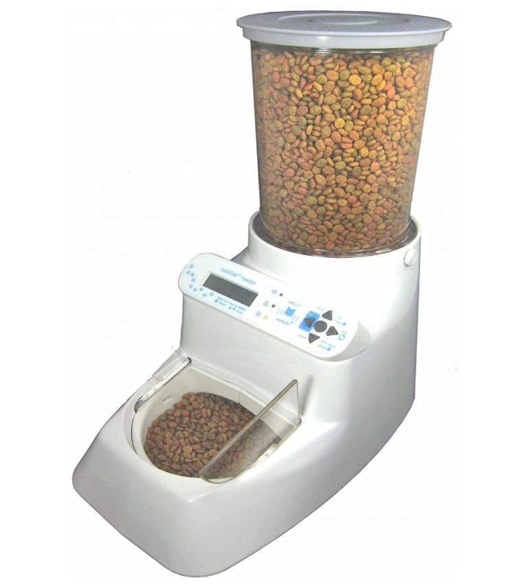 Best Microchip Cat Feeders Buying Guide and FAQs