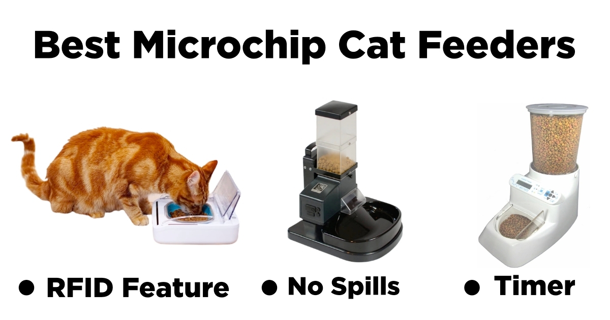 Bes Microchip Cat Feeders