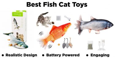 Best Moving Fish Cat Toy