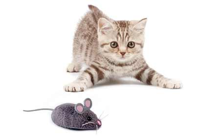 Hexbug Robotic Mouse Cat Toy 2