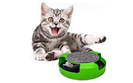 Pasking Catch-the-Mouse Cat Toy