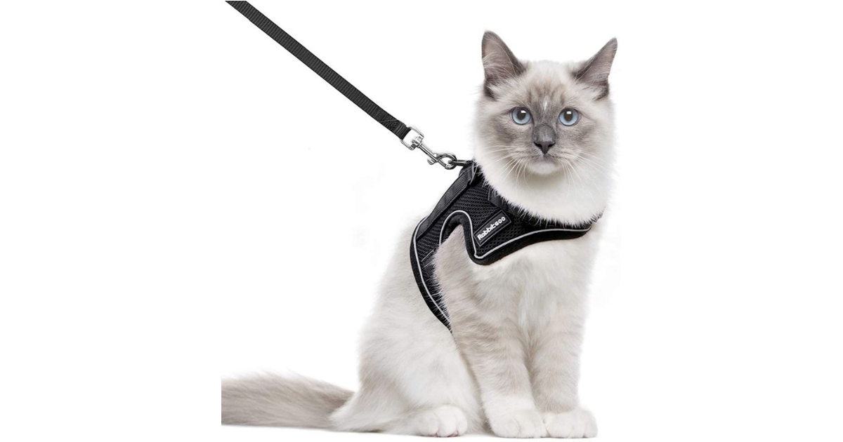 best cat harness for traveling