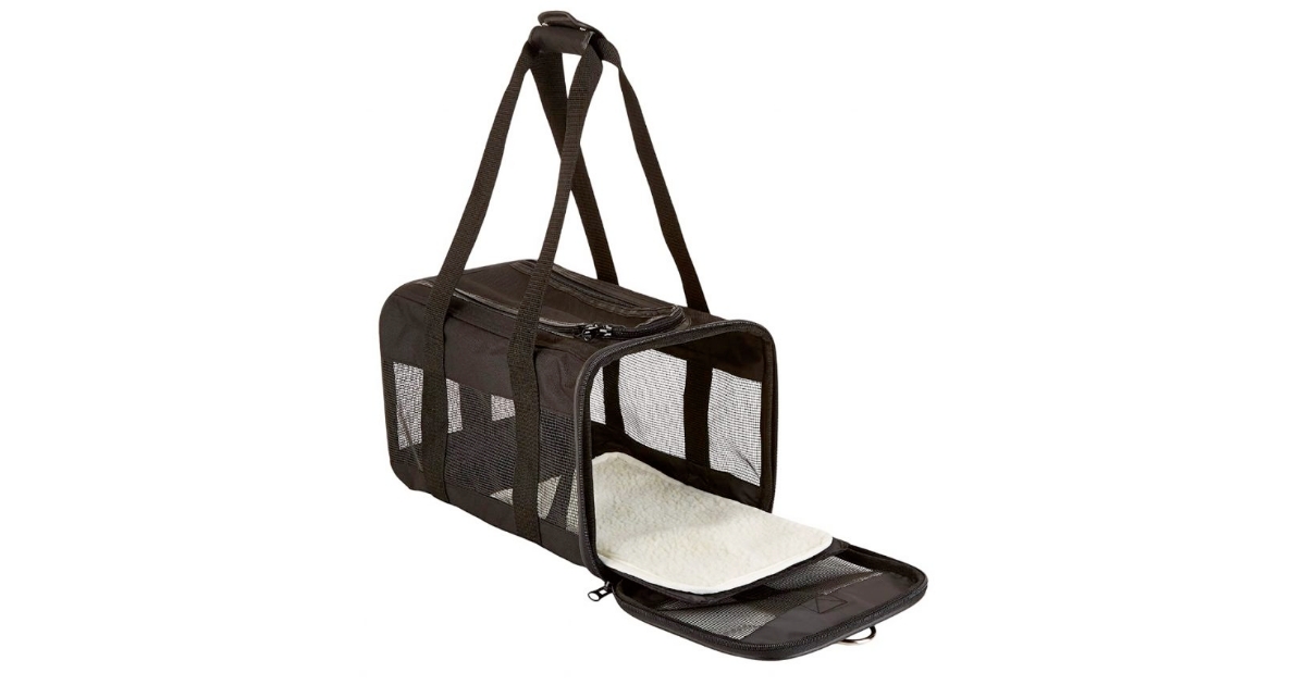 Soft Sided Mesh Cat Carrier