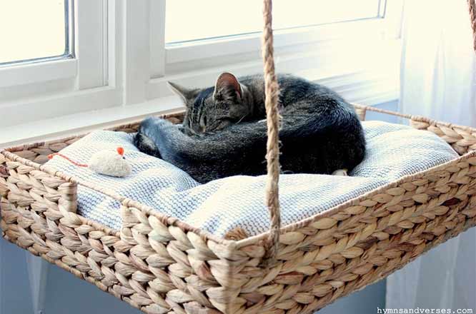 DIY Cat bed– Hanging Window Basket