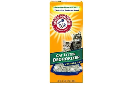 Cat litter deodorizer