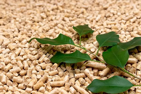 cat litter pallets with green leaves