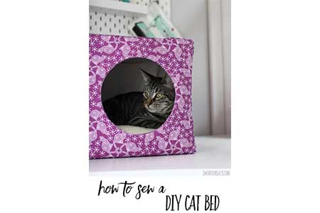 DIY Cardboard Cat Box