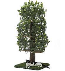 On2Pets 60-in Large Square Modern Cat Tree