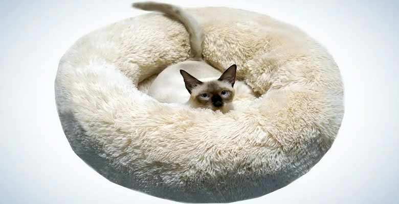 BODISEINT Modern Soft Plush Round Pet Bed