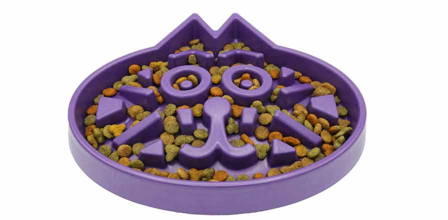 Simply Pets Online Slow Feeder Cat Bowl