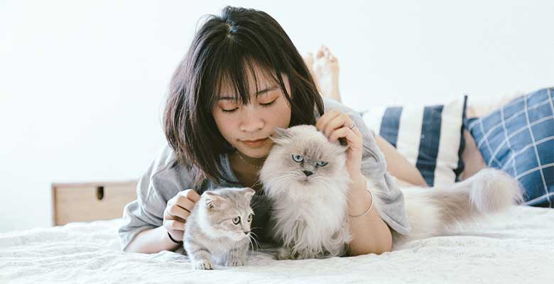12 Fun Activities To Do With Your Cat This Summer